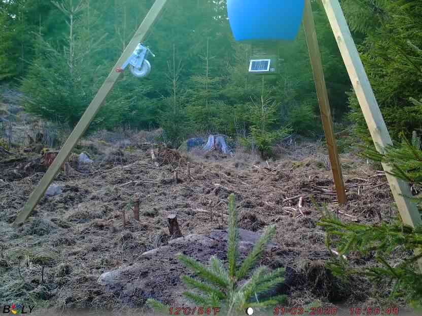 Bild från STORATRÄA