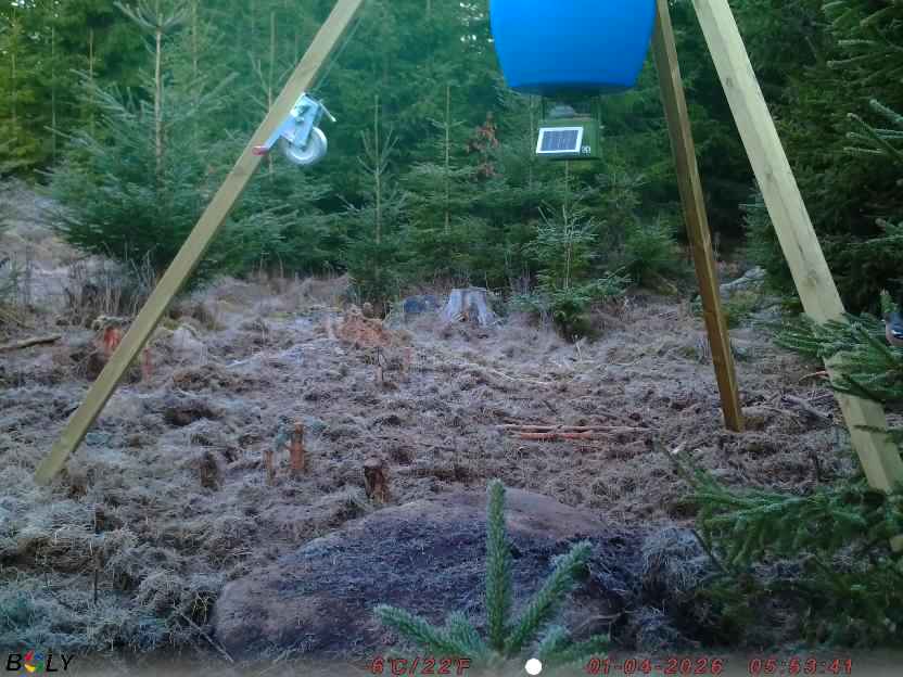 Bild från STORATRÄA