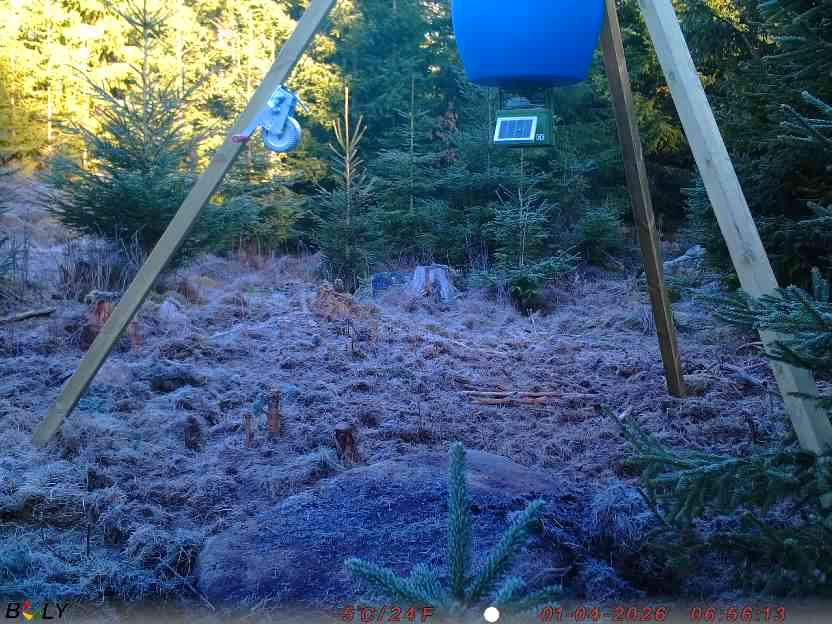 Bild från STORATRÄA