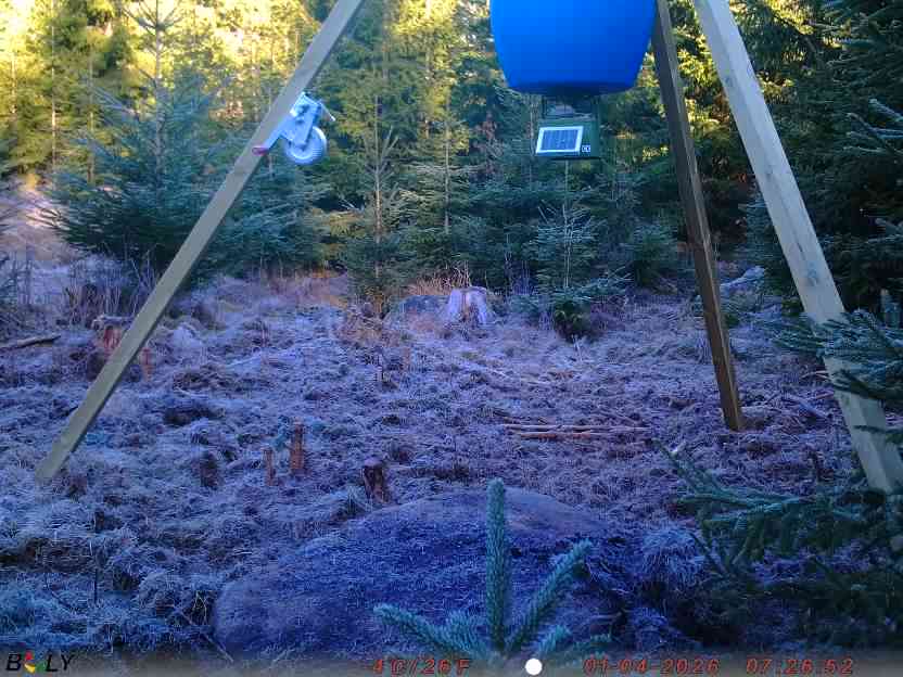 Bild från STORATRÄA