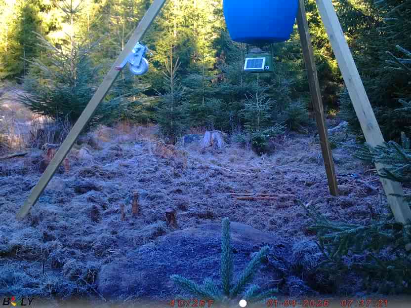 Bild från STORATRÄA