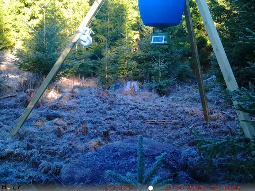 Bild från STORATRÄA