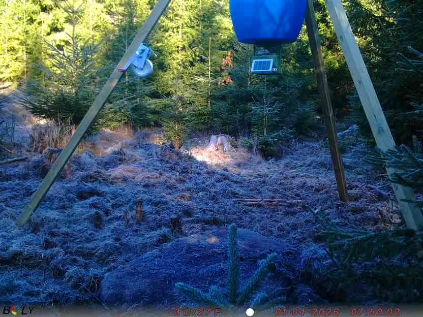 Bild från STORATRÄA