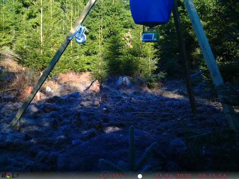 Bild från STORATRÄA