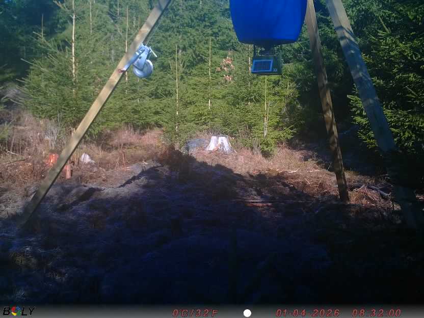 Bild från STORATRÄA