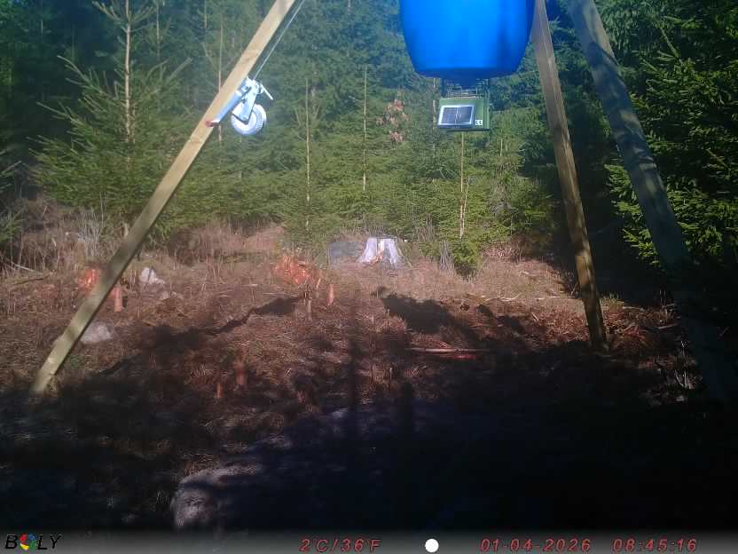 Bild från STORATRÄA