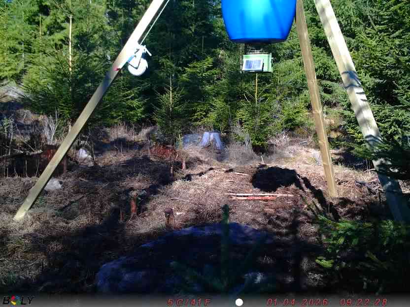 Bild från STORATRÄA