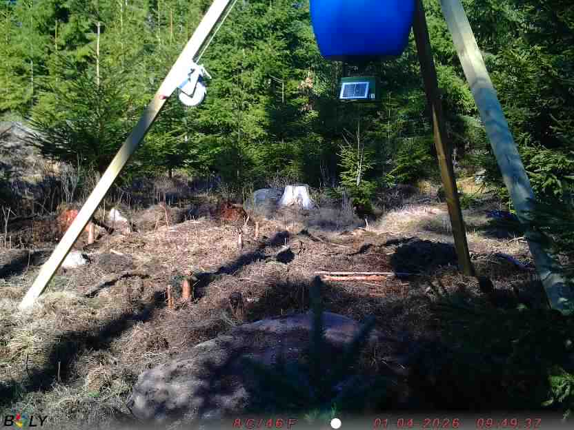 Bild från STORATRÄA