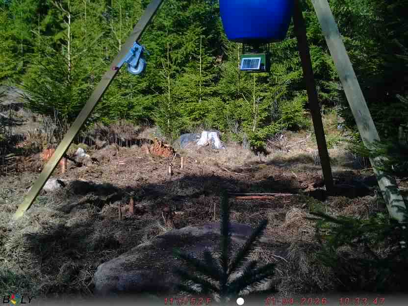 Bild från STORATRÄA