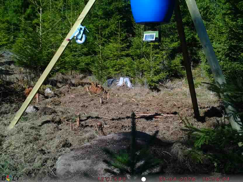 Bild från STORATRÄA