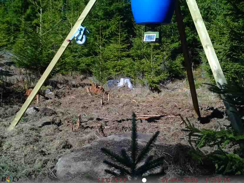 Bild från STORATRÄA