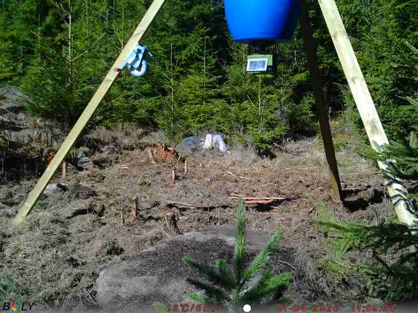 Bild från STORATRÄA