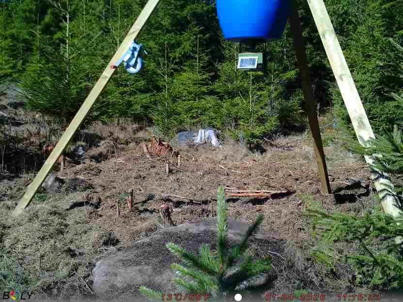 Bild från STORATRÄA