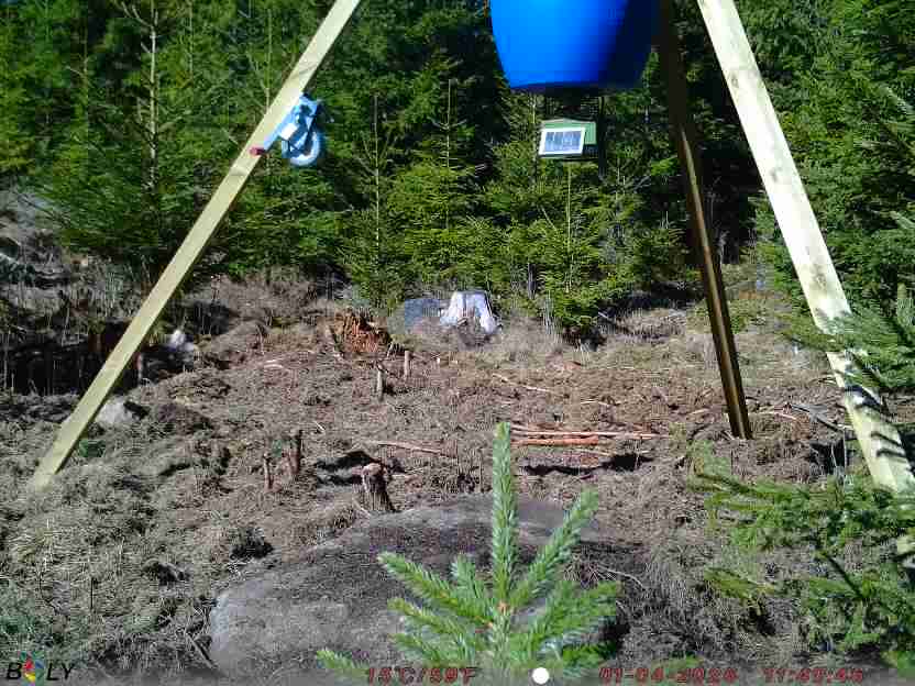 Bild från STORATRÄA