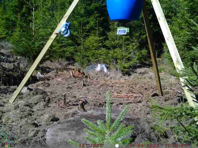 Bild från STORATRÄA