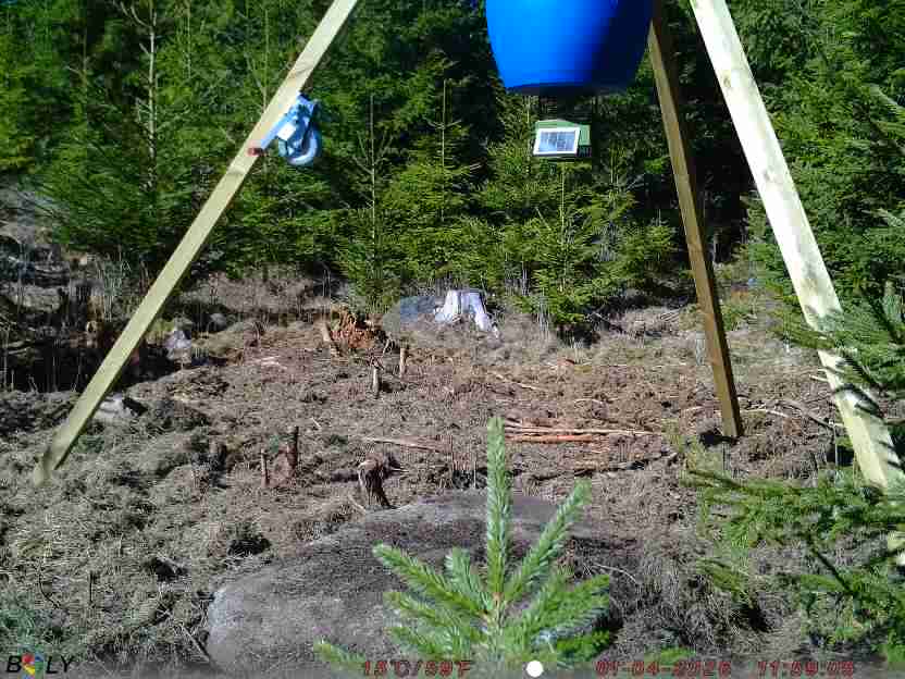 Bild från STORATRÄA