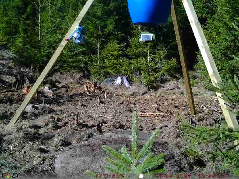 Bild från STORATRÄA