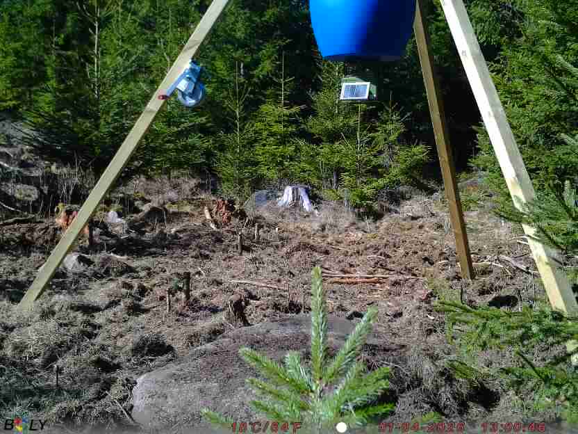 Bild från STORATRÄA