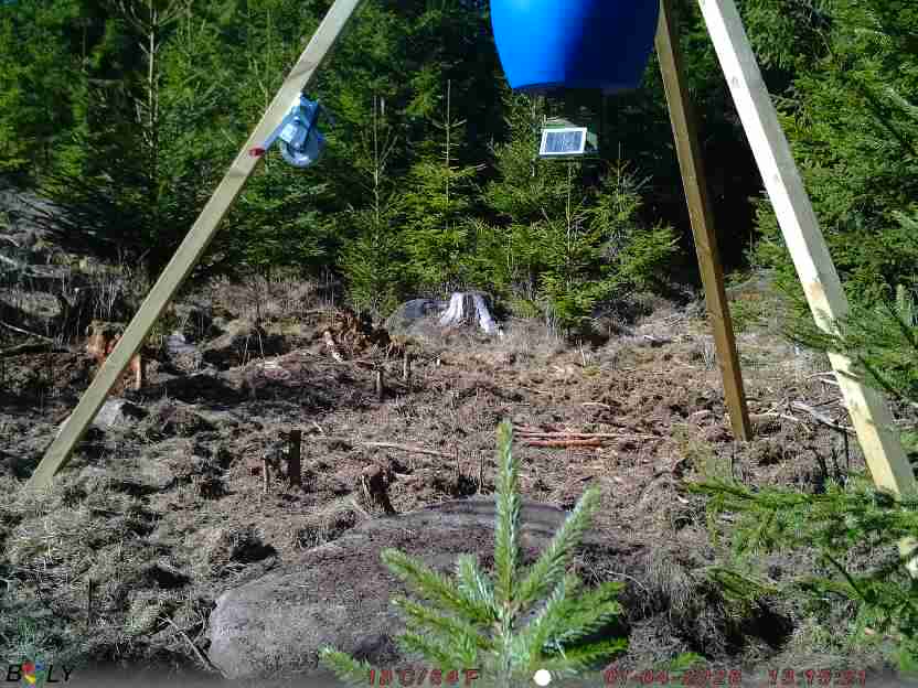 Bild från STORATRÄA