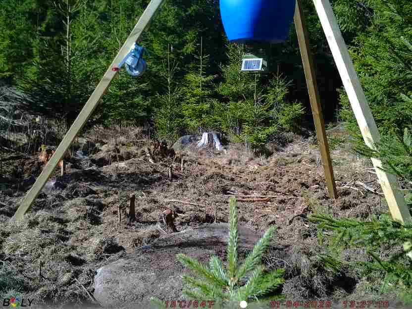 Bild från STORATRÄA