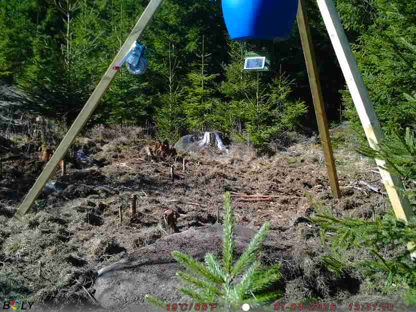 Bild från STORATRÄA