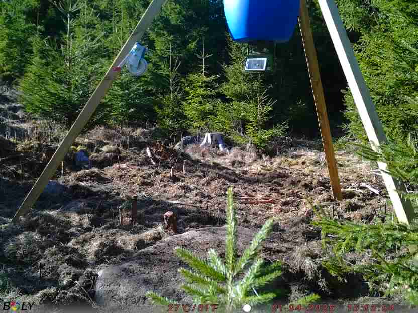 Bild från STORATRÄA