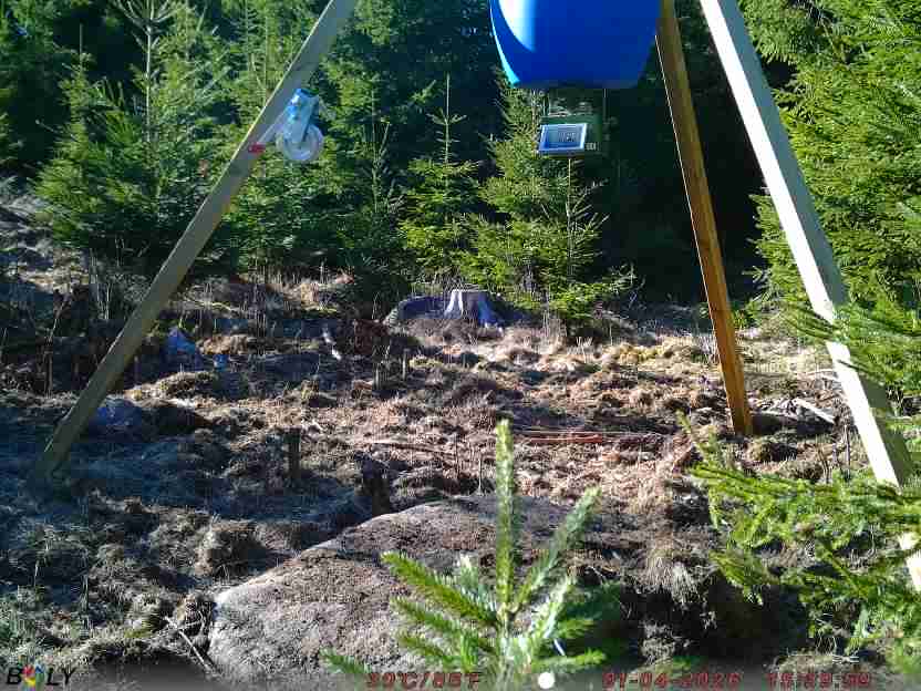 Bild från STORATRÄA