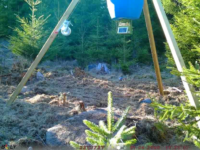 Bild från STORATRÄA