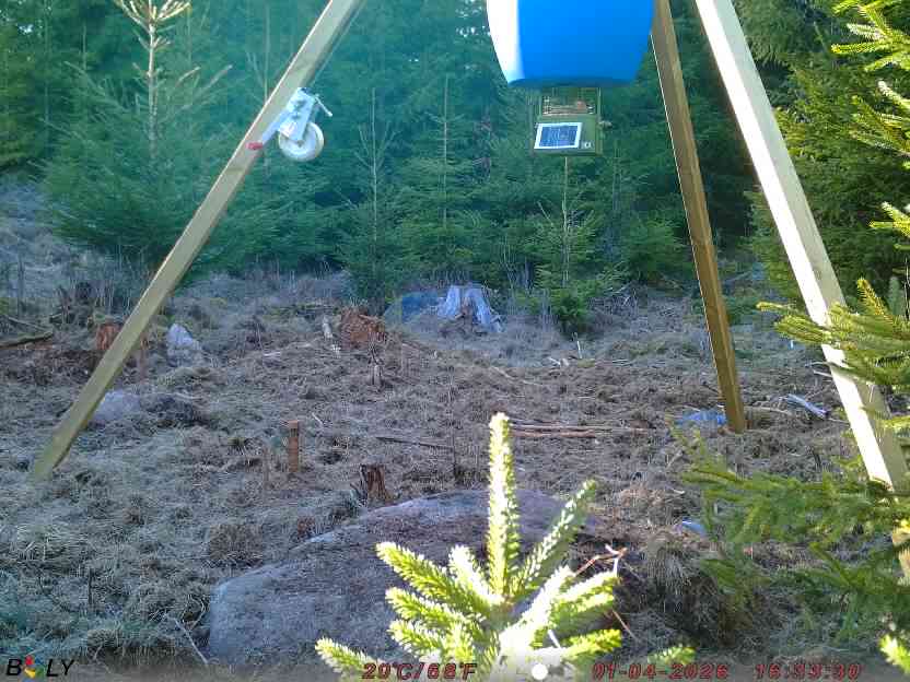 Bild från STORATRÄA