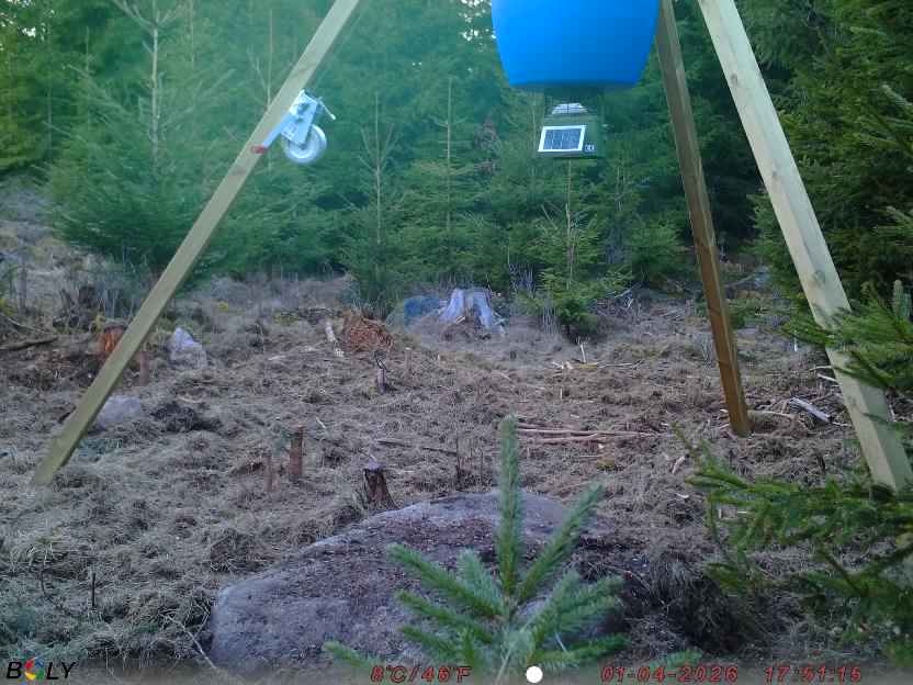 Bild från STORATRÄA