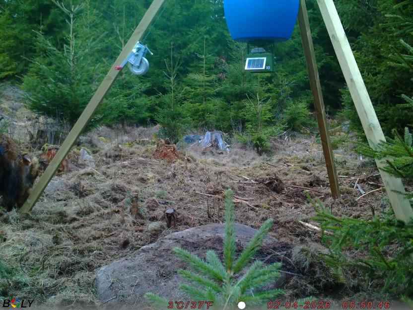 Bild från STORATRÄA