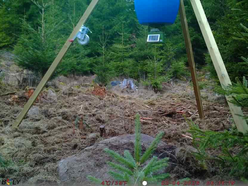 Bild från STORATRÄA