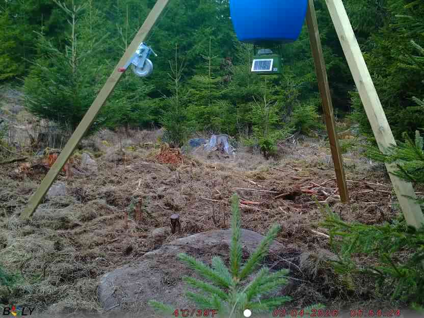 Bild från STORATRÄA