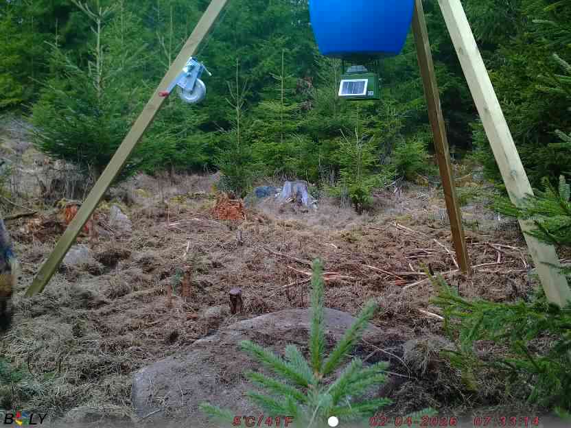 Bild från STORATRÄA