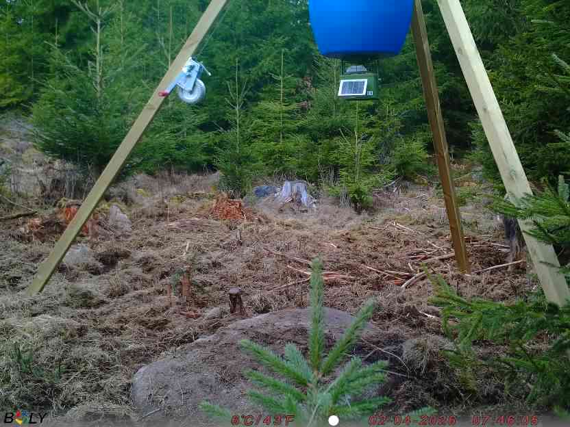 Bild från STORATRÄA