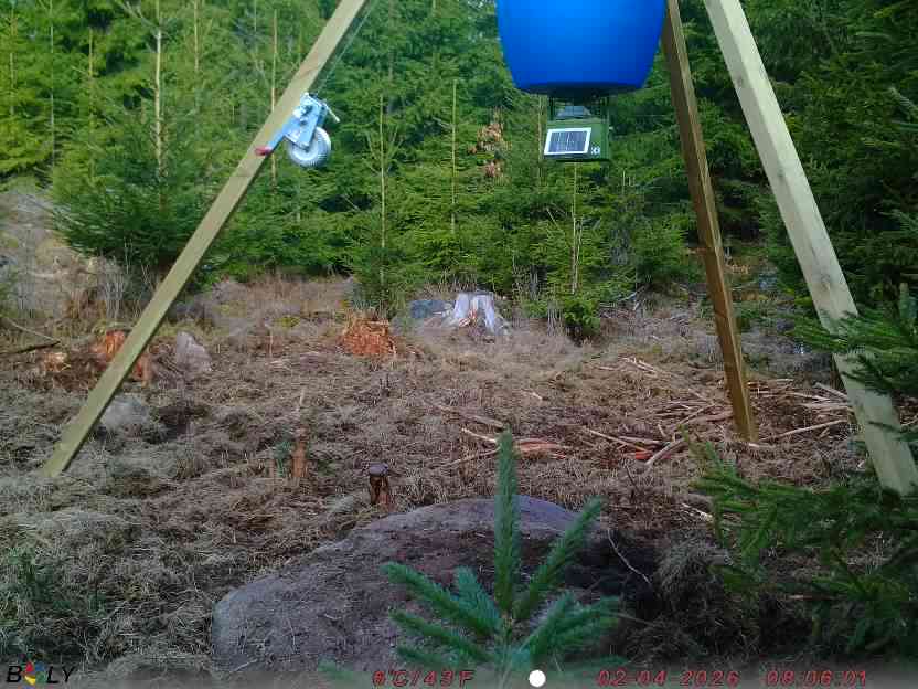 Bild från STORATRÄA