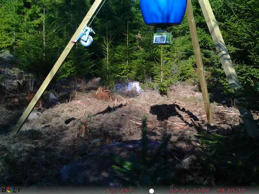 Bild från STORATRÄA