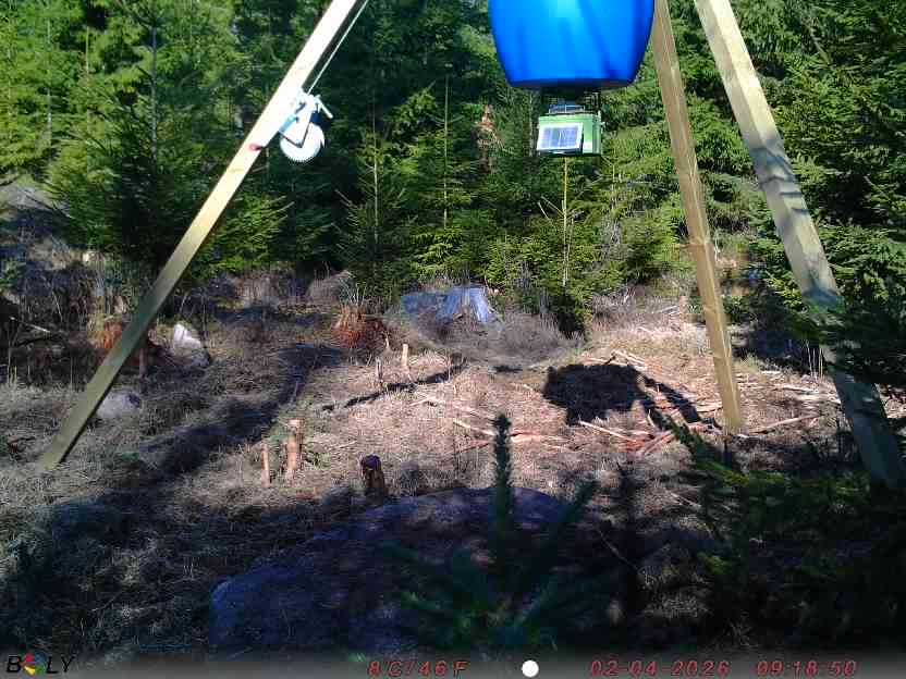 Bild från STORATRÄA