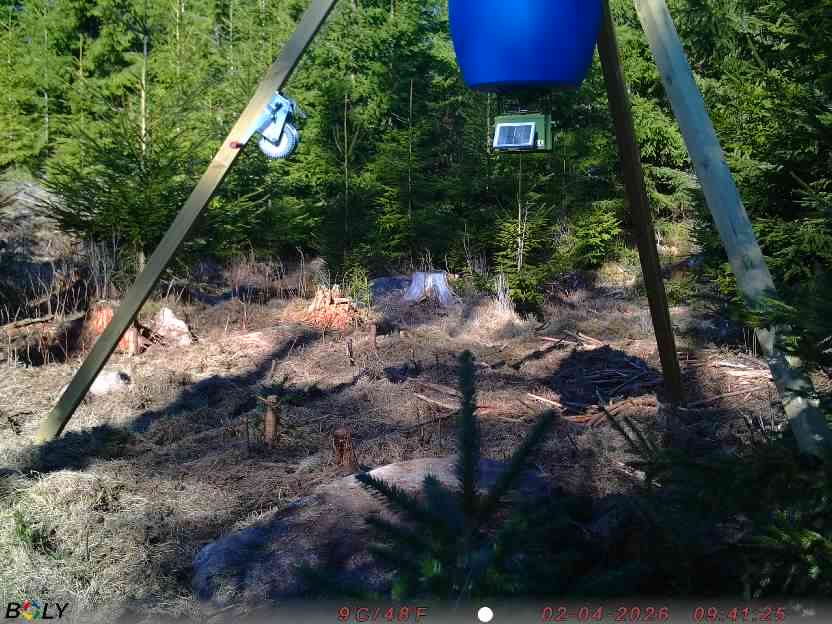 Bild från STORATRÄA