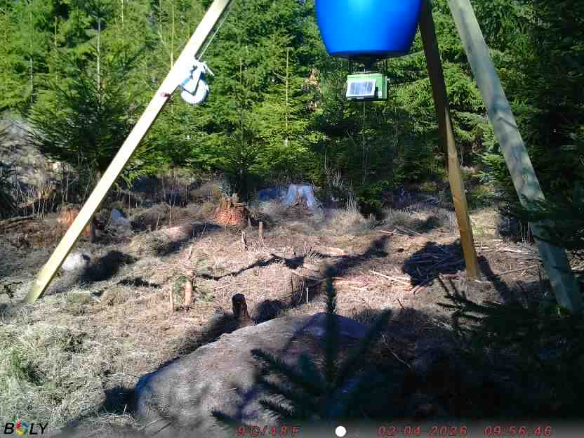 Bild från STORATRÄA