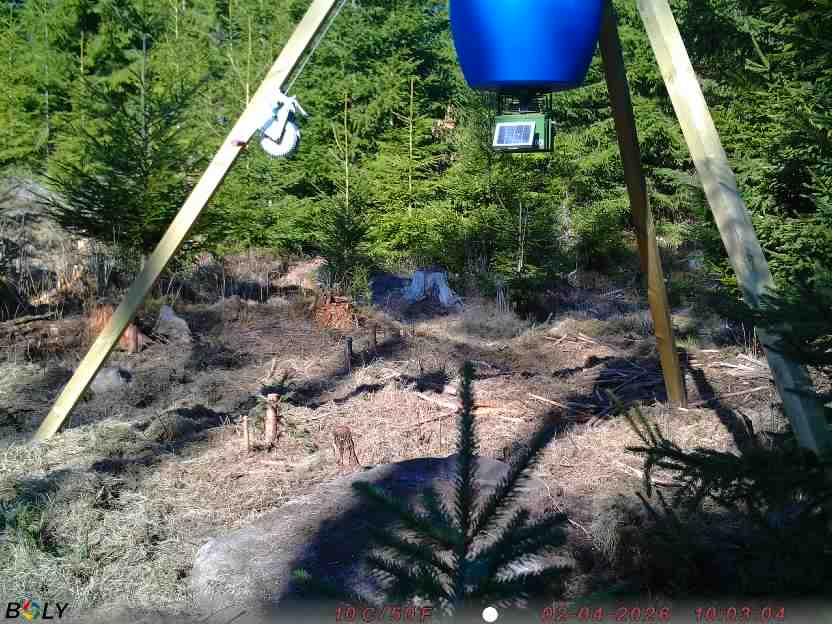 Bild från STORATRÄA