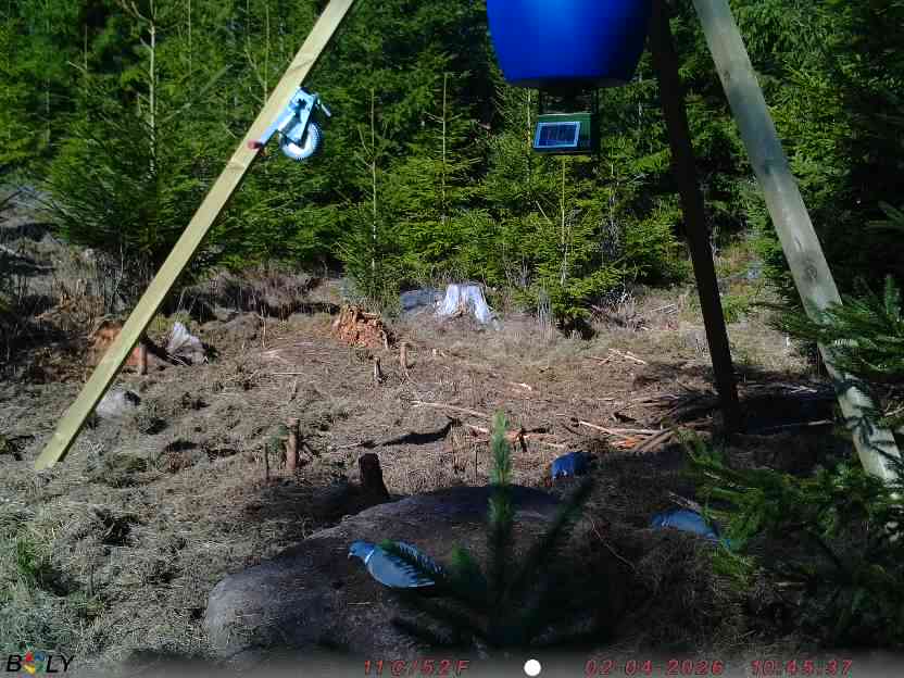 Bild från STORATRÄA