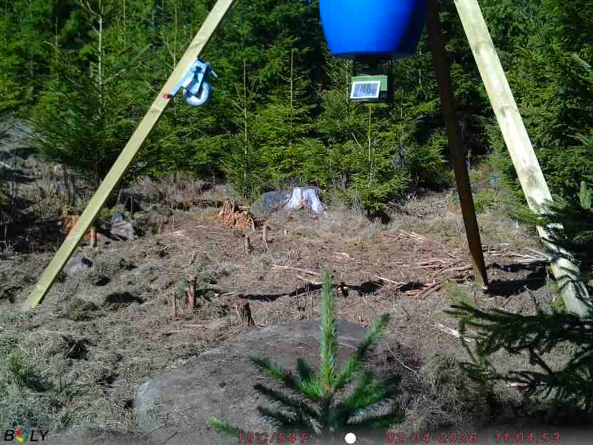 Bild från STORATRÄA