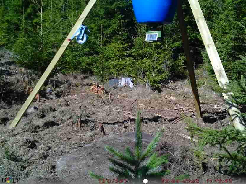 Bild från STORATRÄA