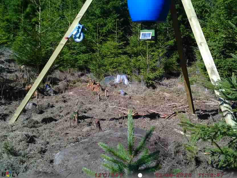 Bild från STORATRÄA