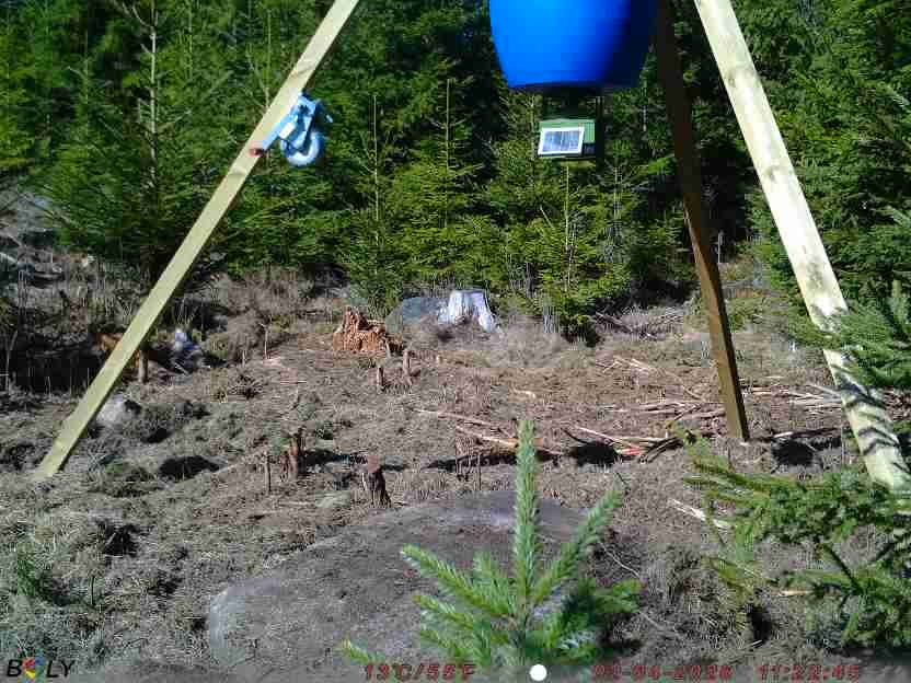 Bild från STORATRÄA