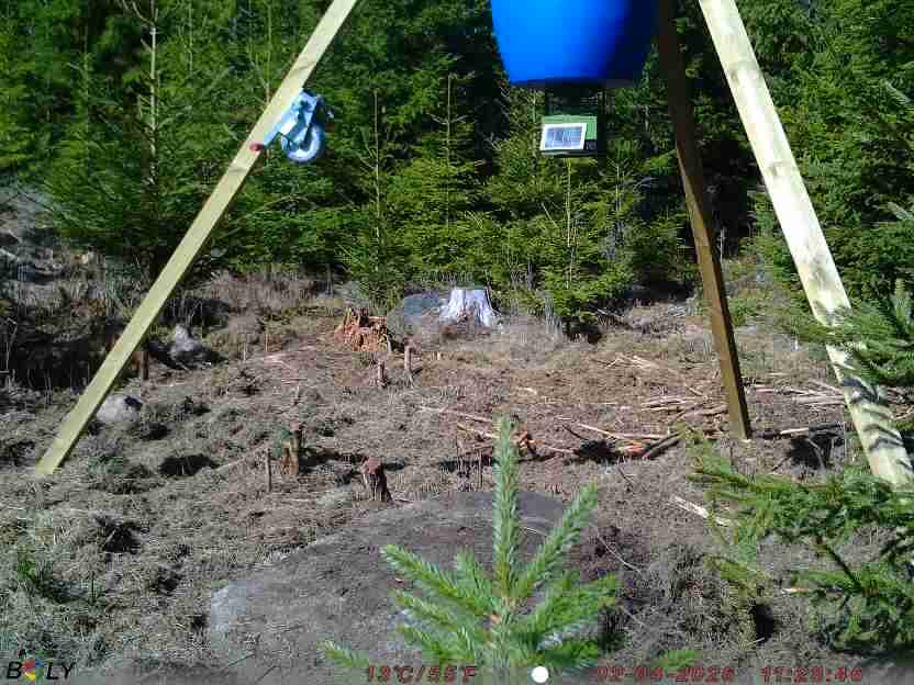 Bild från STORATRÄA