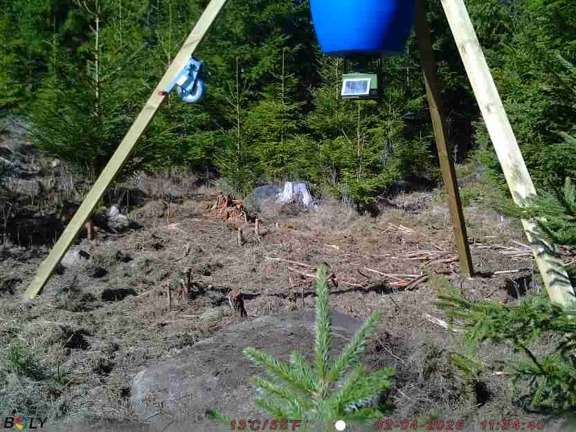 Bild från STORATRÄA