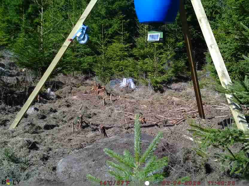 Bild från STORATRÄA