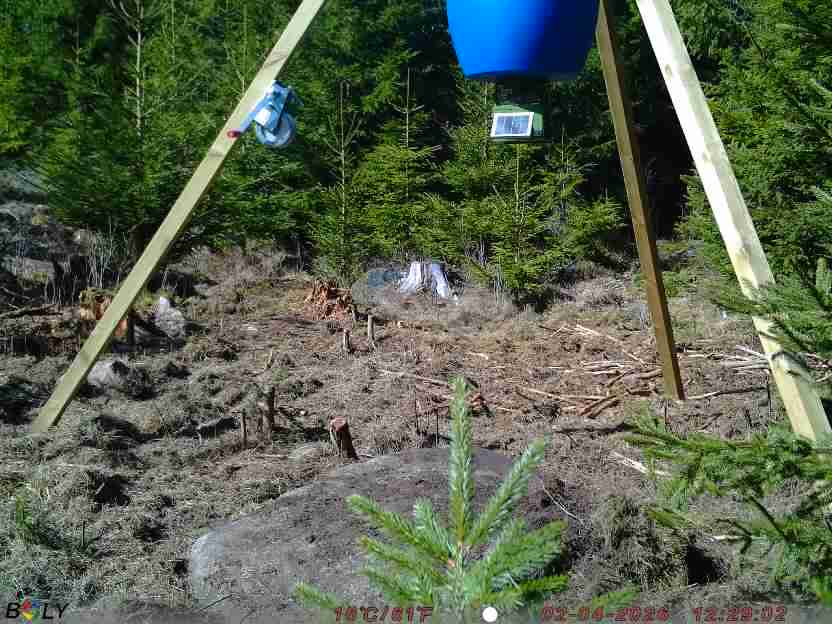 Bild från STORATRÄA